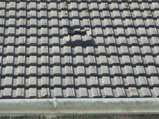 Broken Tiles or Slates Broken Tiles or Slates